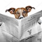 agenda nieuws heldere weg